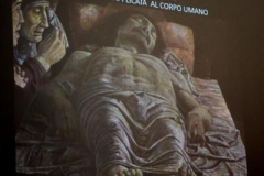 Timpano in Mantegna02